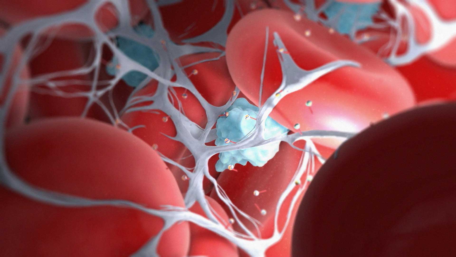clot scene from pharmaceutical animation