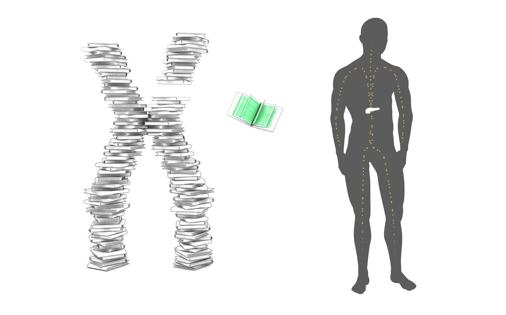 Tale Dna Binding The Twisting Tale of DNA- TEDEd Video with Judith Hauck - Microverse ...