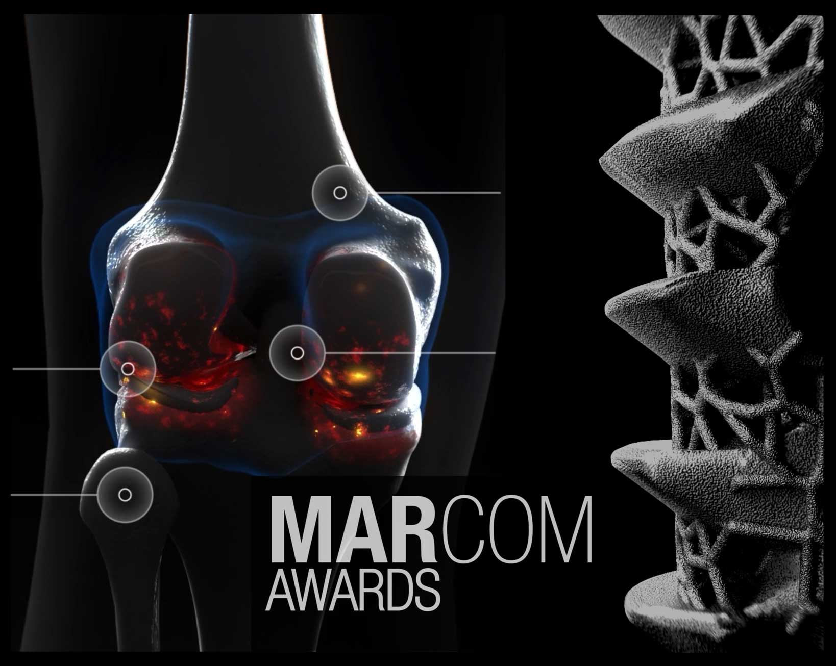 Marcom-2021-Wins-Microverse-Studios-Collage