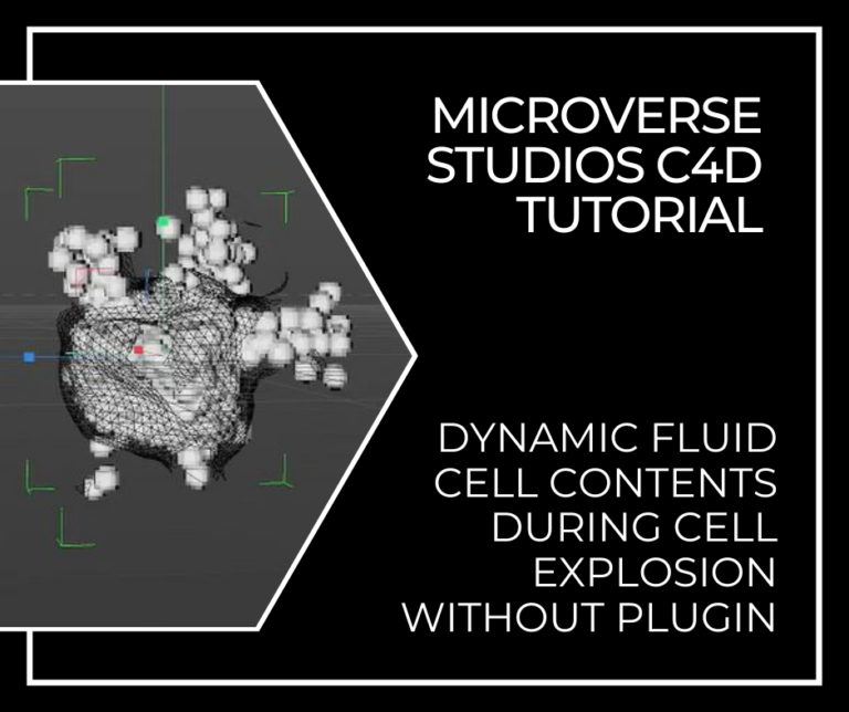 C4D-Tutorial- Dynamic-fluid-cell-contents-during-cell-explosion-without-plugin