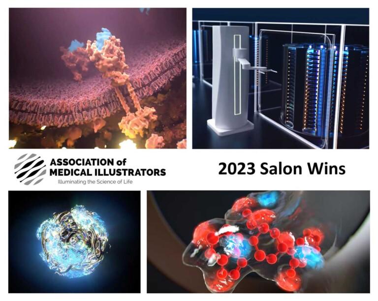 Four Medical Animation Images from AMI Wins 2023