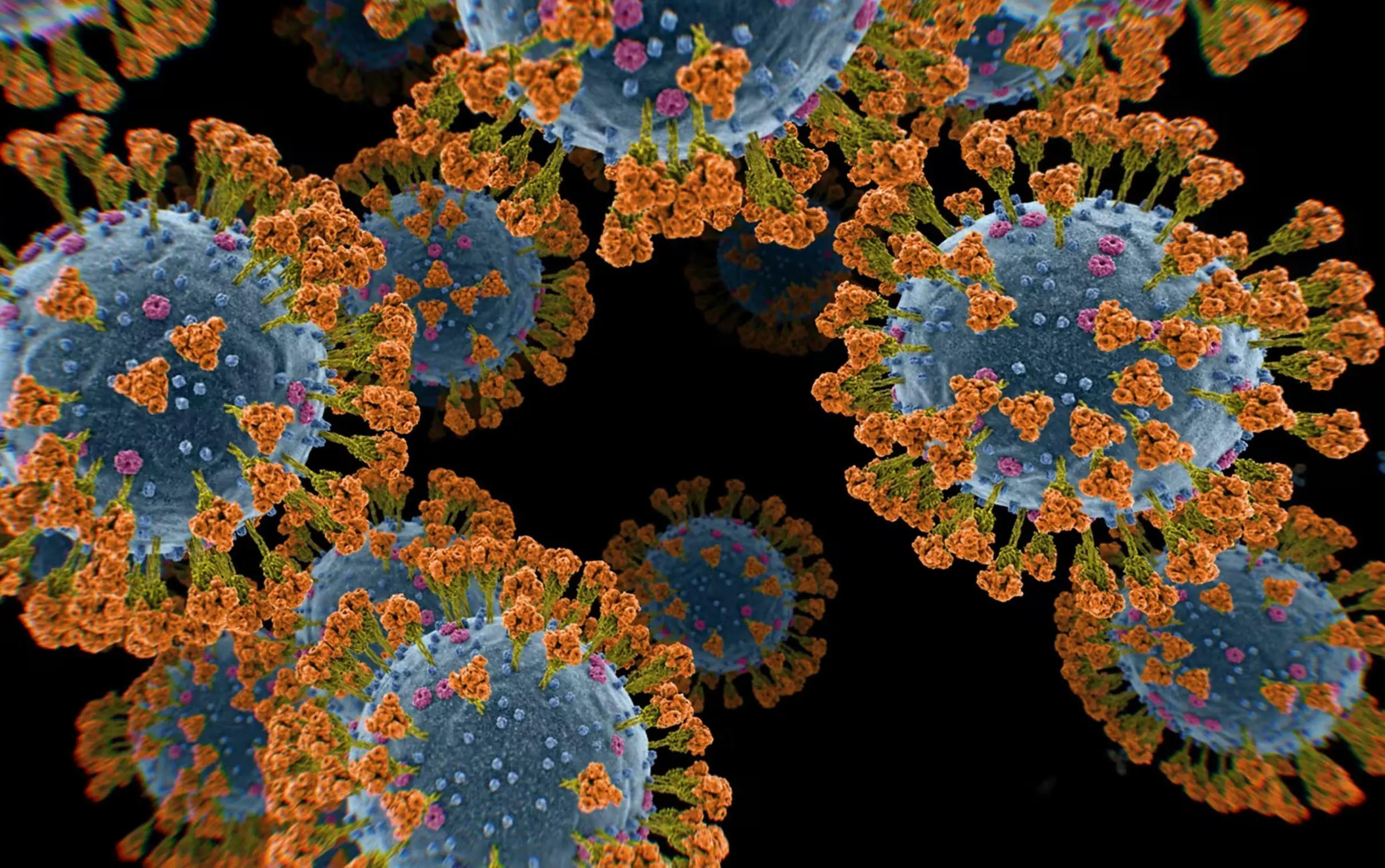 multiple SARS viruses floating together